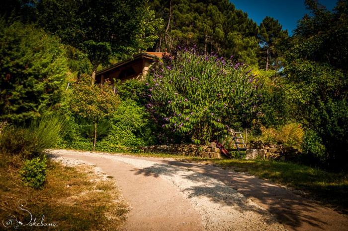 Le Nid Des Anges Saint-Andre-Lachamp Exterior foto