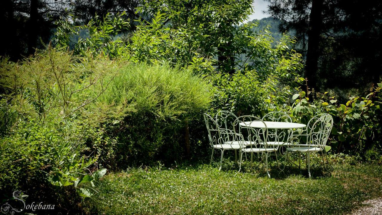 Le Nid Des Anges Saint-Andre-Lachamp Exterior foto